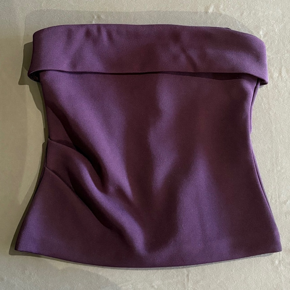 Aritzia Babaton tube top